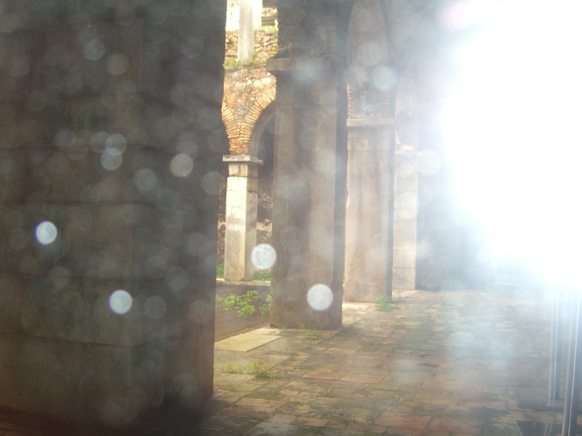 The strange body of light is caused by my camera flash, but its effect is pleasing nonetheless.