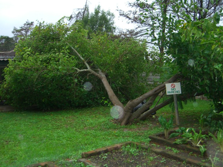 You may, however, sit or lie on the grass.