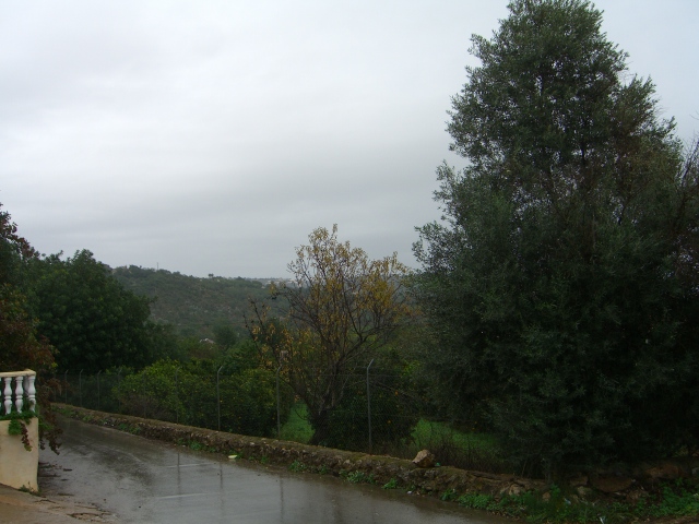 Tourists do not see the Algarve like this. 11:52 23.11.2012