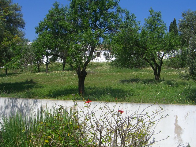 Same window, one step closer.