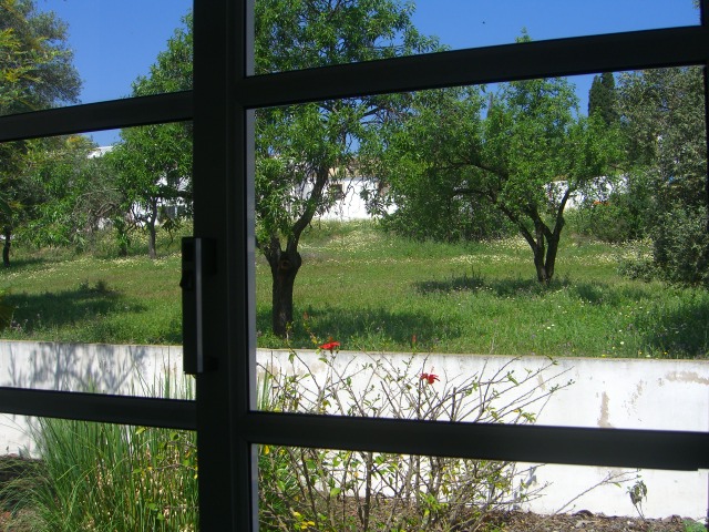 Fear masquerading as window frames