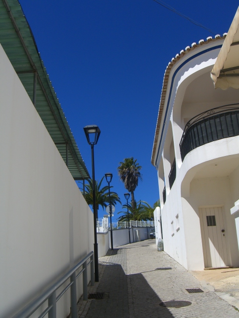Gardening over, I return to the villa to carry away the two bags of lawn clippings and weeds, standing in the road on the right hand side.