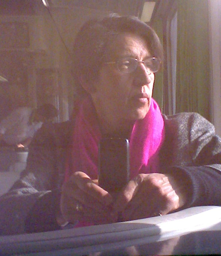 pink scarf selfie in train