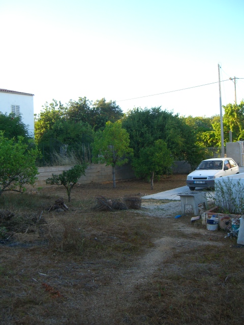 A pleasant sight, viewed from the garden 