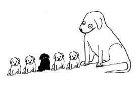 To kindred spirits everywhere