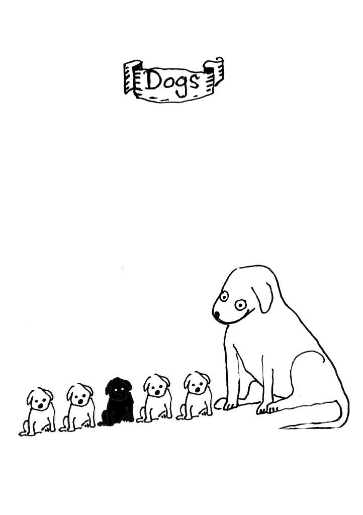 39-dogs