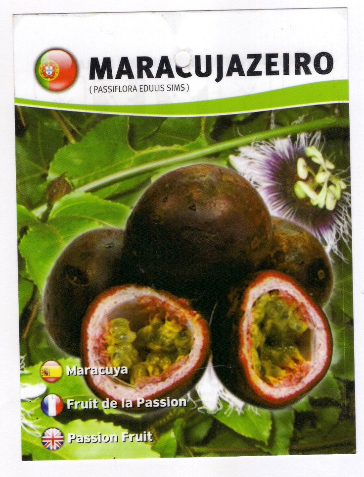 maracujeiro0001