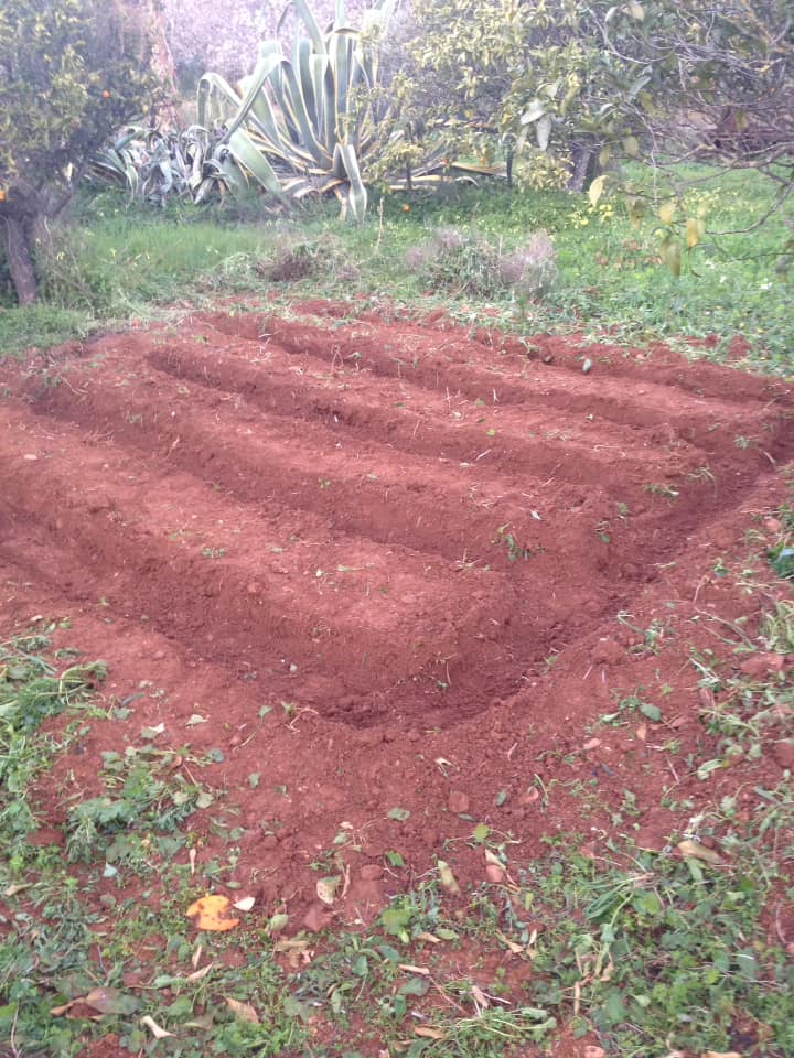 A woman walked into a bar with a hoe in her hand...